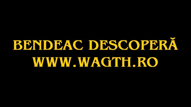 Bendeac descoperă WeAreGoingToHellRO
